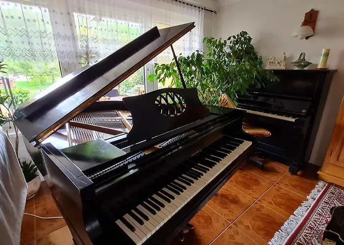 民宿 Piano