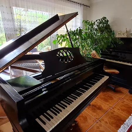 ホームステイ Piano
